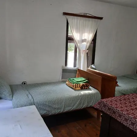 Kamenica Stara Planina * Dimitrovgrad